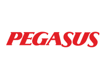 pagusflylogo.png