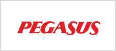 Pegasus